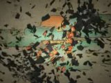 Samurai Champloo - Go It Alone - wip intro 02 xvid