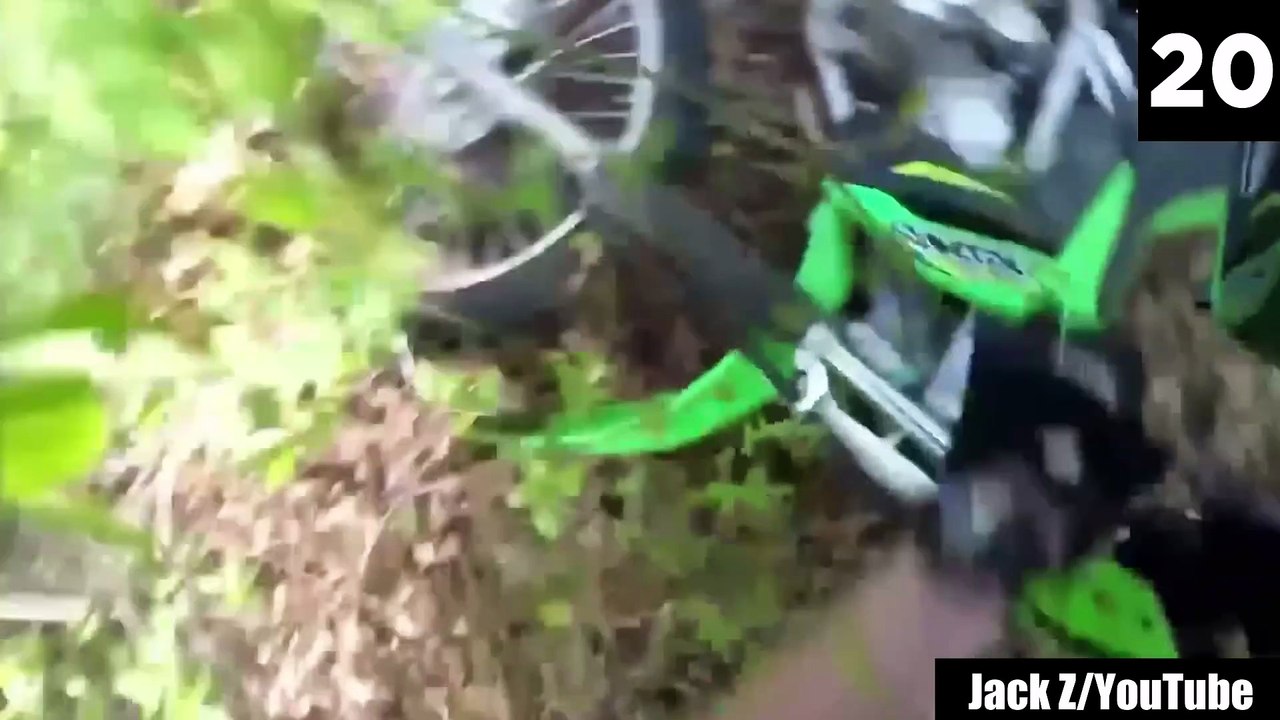 27 Forest Encounters Caught on Camera