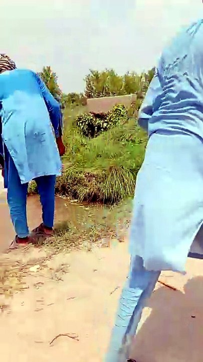 Chirra fish