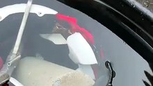 cobra capacete eua