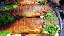 Wilderness Catch & Cook: Rainbow Trout and Baby Potatoes in Rich Broth