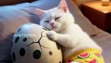 This AI Cat Has a Mind of Its Own 😺🤖 | Funny AI Cat Story | Animal Vised