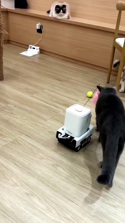 Pmate AI Pet Camera Robot Companion