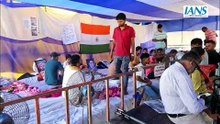 कंगना रनौत का नसीरुद्दीन शाह पर तीखा तंज, बोलीं- 'लोमड़ी बनने से बेहतर कुत्ता बनना'