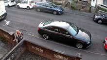 Grande-Bretagne : une corneille attaque une femme dans la rue, elle chute en fuyant