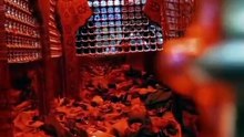 Roza-e-Maula Abbas (a.s) Ke Andar Ki Rohani Ziyarat | Transparent Donation / Tawun Appeal