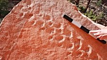 Fossilized Tread Marks Found at Grand Canyon Predate Dinosaurs