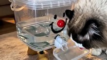 Cute Dopamine Cat Water Dispenser – Keep Kitty Hydrated & Happy