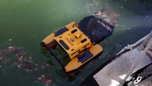 Meet Jellyfishbot: A Jellyfish-Inspired Robot to Clean Waterways