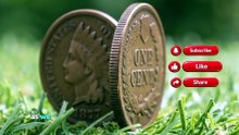 1877 Indian Head Cent Rare Penny You Should Look For