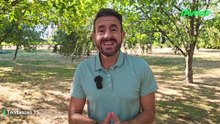La météo de Farid du 13 août 2026