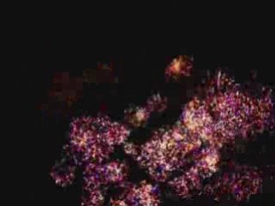 feu d'artifice sarreguemines 2008 (2ième partie)