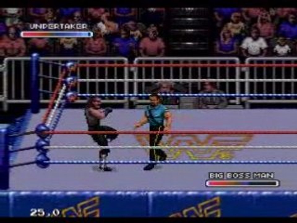 WWF Rage In The Cage