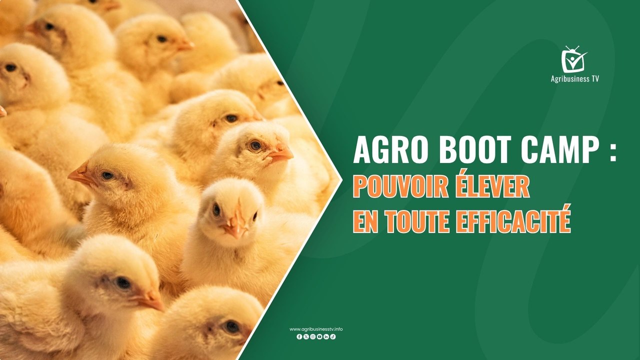 Agri Actu : Agro boot camp, pouvoir élever en t...