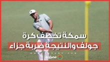 أغرب ما حدث في بطولة جولف.. سمكة تستولي على الكرة في بطولة  بطولة “LIV Golf New York