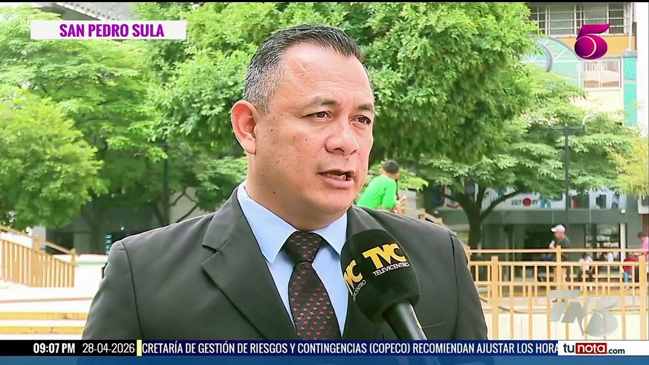 TN5 Estelar - martes 28 de abril 2026