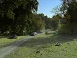 le lion est pas mort ce soir !!!!!!