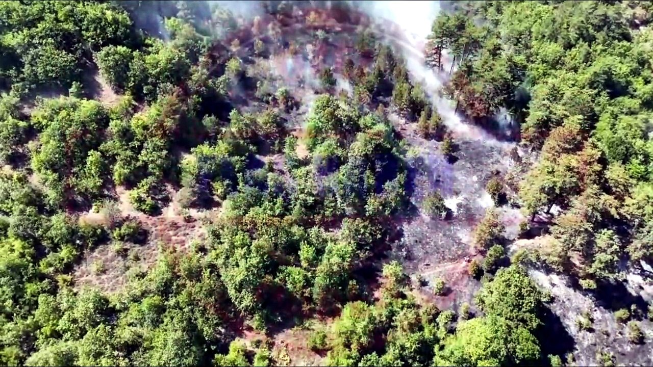 Sinop’ta orman yangını havadan görüntülendi