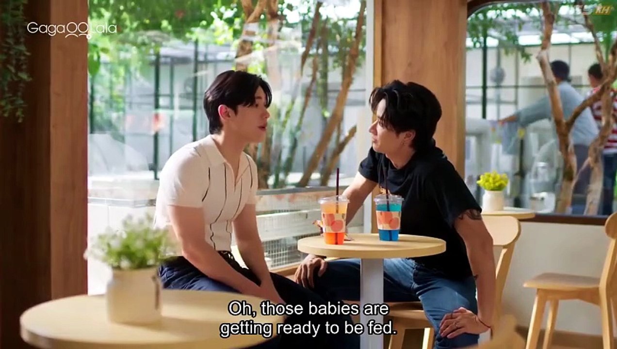 Ep.8 - A Dog and a Plane [ ENGSUB ] | Full Short Drama | English Sub 2026 [Full Movie]