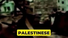 💥 1976: Tel al-Zaatar, la masacre de palestinos
