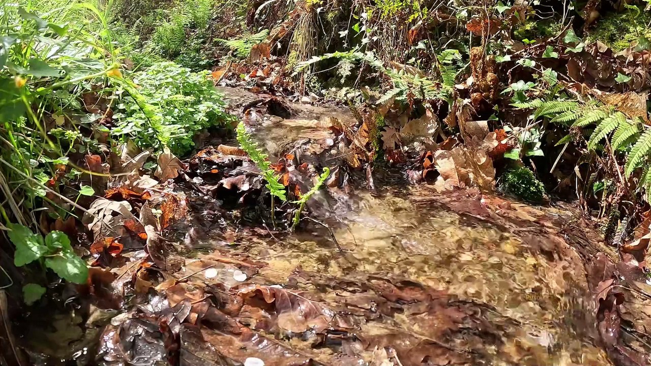 "Bien-être" Eau qui Chante   - Relaxation - Détente