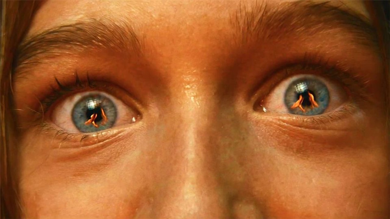 Trees are Watching Trailer OV