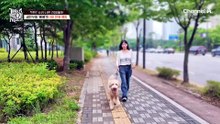 '딱딱' 소리가 나면 긴장해라!? 골든두들 '베베'의 5대 문제 행동
