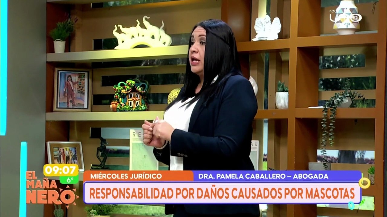 jurdico
