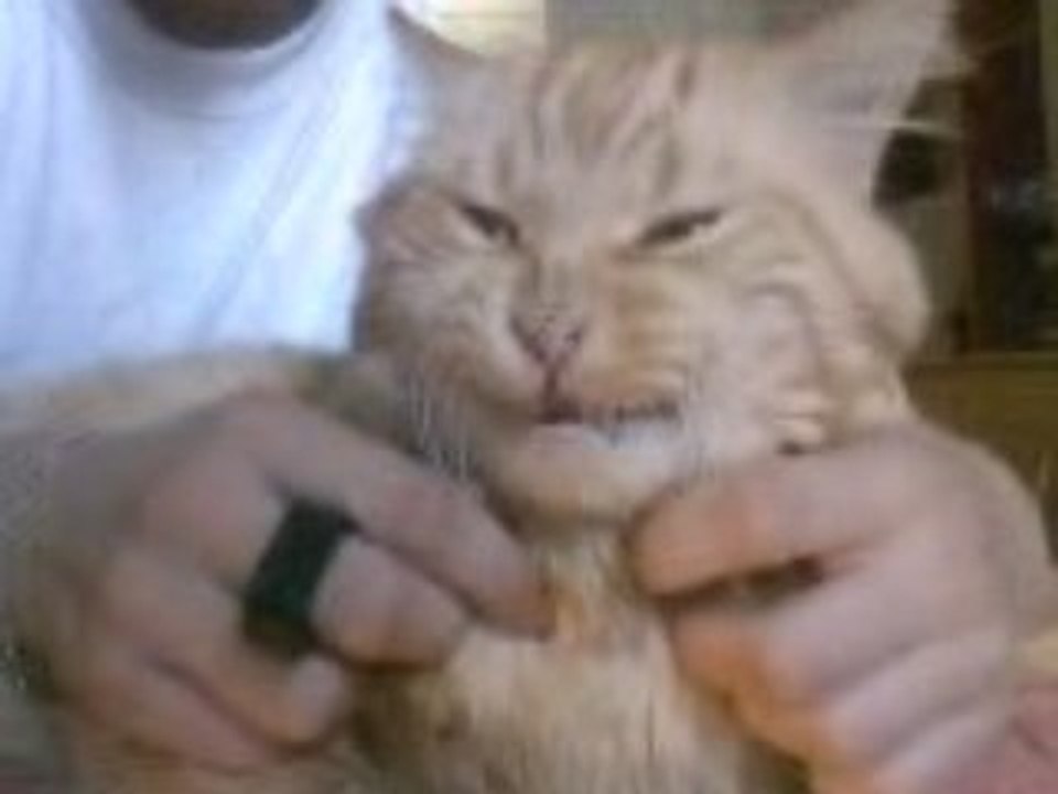 encore se chat o air sourieur