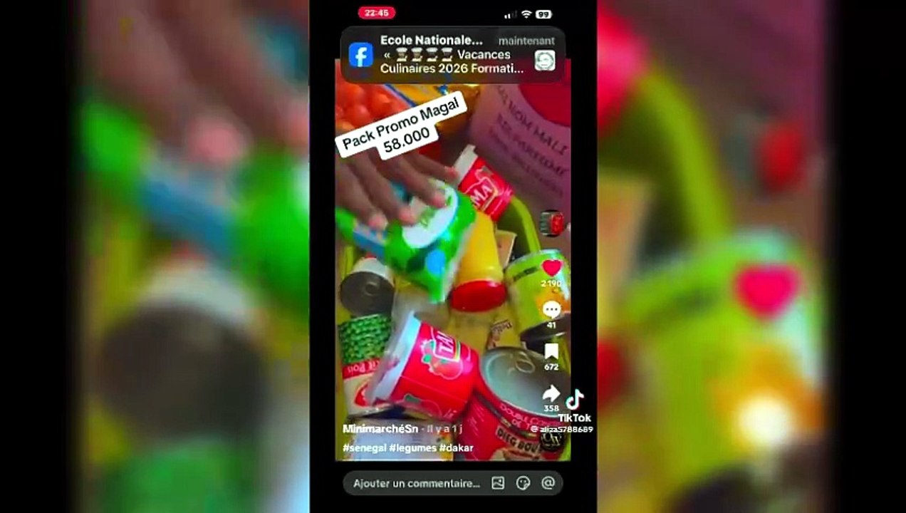 Arnaque à grande échelle sur TikTok : la propriétaire du mini-marché « Sn » arrêtée par la DSC