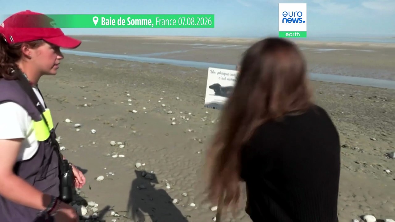En baie de Somme, la difficile conciliation ent...