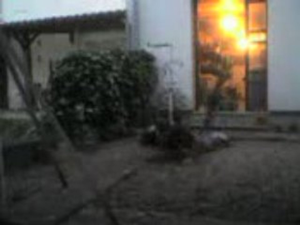 Croute bmx