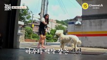 [예고] "짱아하고 이혼해 주세요" 강 훈련사와의 역대급 팽팽한 기싸움! 과연 솔루션을 진행할 수 있을까?