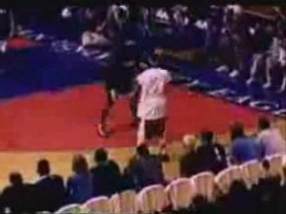 Les pro du basket