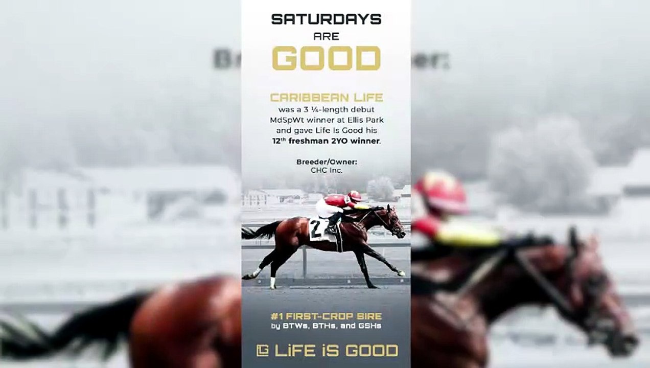 Sovereignty Powers to Fastest Horse of the Week