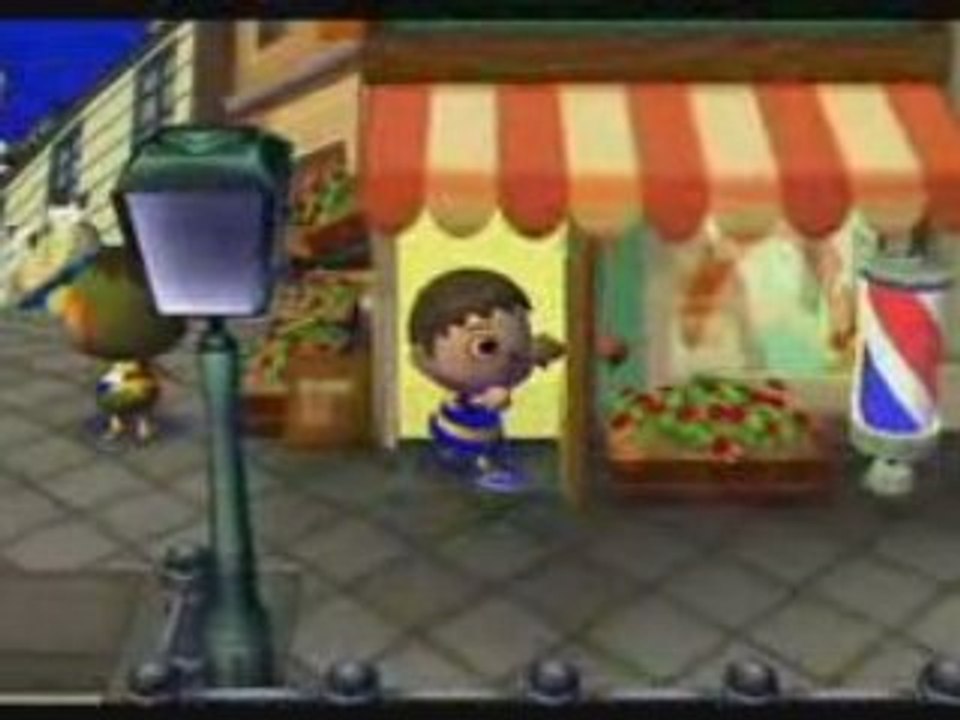Animal Crossing Wii