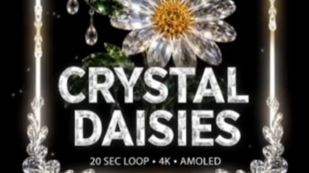 Crystal Daisies 🤍💎 4K AMOLED Moving Wallpaper | Sparkling White Flowers | 20 Sec Loop