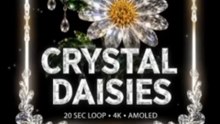 Crystal Daisies 🤍💎 4K AMOLED Moving Wallpaper | Sparkling White Flowers | 20 Sec Loop
