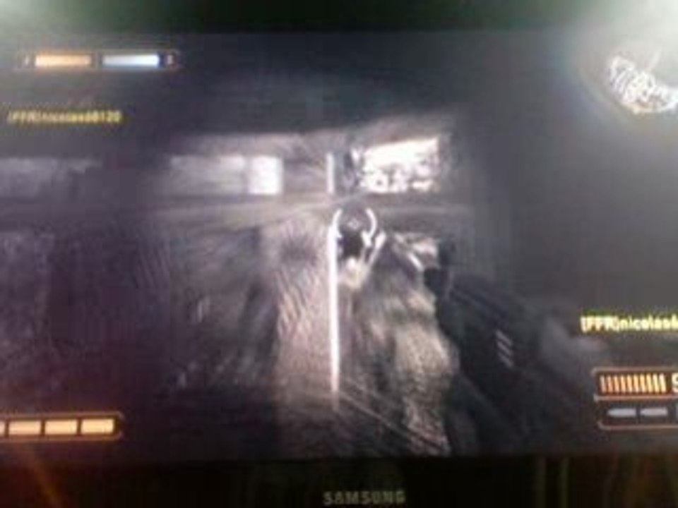 rfom bug seigneure-HITMAN et nico team ffr