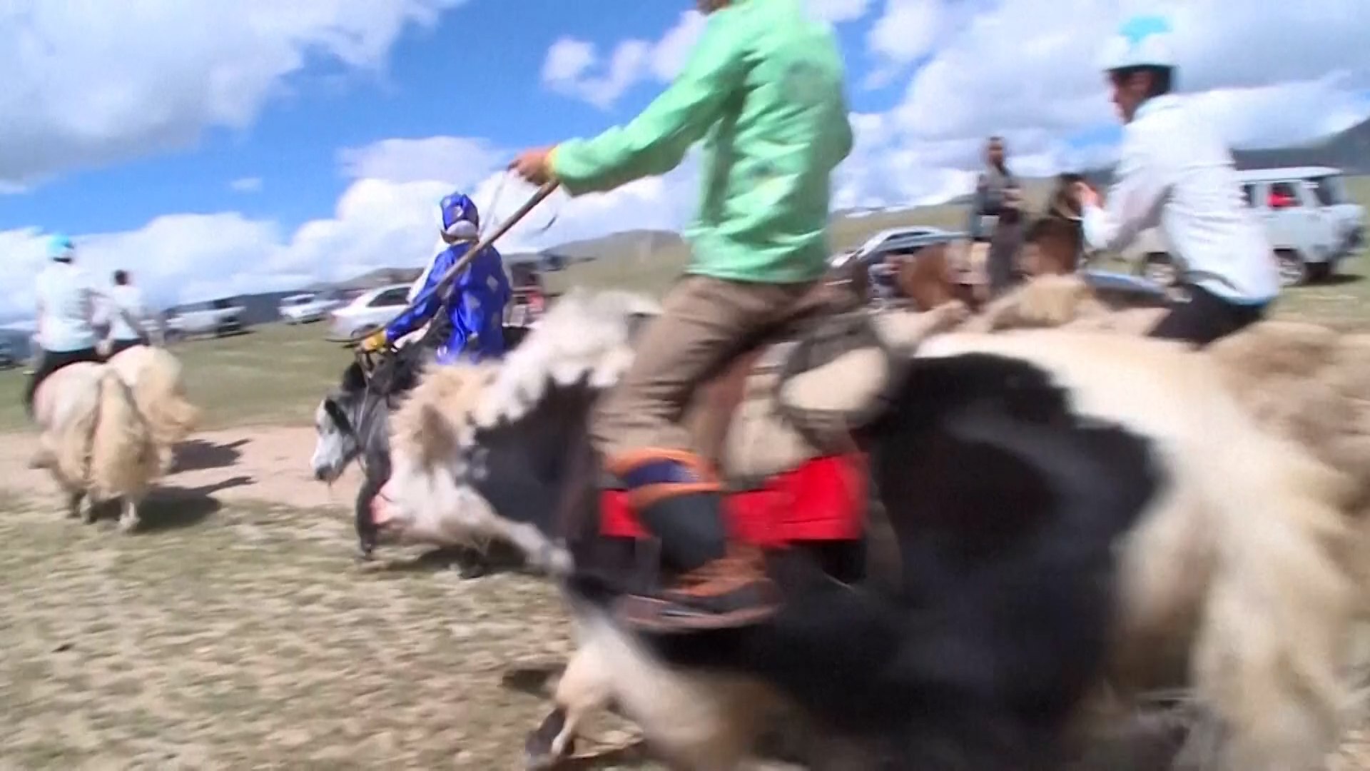 Las carreras de yaks se celebraron en Mongun-Taiga, una remota zona de la Rep�blica de Tuva, en el sur de Siberia, Rusia. El lugar, de dif�cil acceso y rodeado de monta�as, fue escenario de una competici�n poco habitual en la que varios jinetes pusieron a prueba la fuerza y resistencia de estos animales.La carrera se desarroll� sobre un recorrido de cinco kil�metros y, seg�n los participantes, no fue una prueba sencilla. Un yak puede pesar alrededor de una tonelada y alcanzar velocidades de hasta 20 kil�metros por hora, lo que convierte su control en todo un desaf�o para los jinetes.�Estoy muy contento de que hayamos quedado primeros hoy�, afirm� el jinete Achyty Oorzhak tras completar la carrera. El vencedor reconoci� que la competici�n hab�a sido especialmente dura y que controlar al animal durante el recorrido no result� f�cil, aunque finalmente consigui� mantenerlo bajo control y alcanzar la victoria.El yak de Tuva es una raza de yak dom�stico adaptada a las duras condiciones clim�ticas de esta regi�n. Estos animales se cr�an tradicionalmente en Tuva, una rep�blica monta�osa situada al sur de Siberia y fronteriza con Mongolia.Gracias a su resistencia y fortaleza, los yaks desempe�an un papel importante en la vida de las comunidades locales. Los habitantes de la regi�n los utilizan, entre otras tareas, para transportar mercanc�as por caminos y carreteras de monta�a, donde otros animales pueden tener mayores dificultades para desplazarse.�A diferencia de los caballos, los yaks son animales muy fuertes�, explic� Oshku-Saar Oorzhak, Trabajador de Honor de la Agricultura Rusa. Tambi�n destac� su satisfacci�n por el crecimiento de la cr�a de yaks en la rep�blica.La jornada termin� con un desfile de los mejores yaks del distrito ante los espectadores, que pudieron contemplar de cerca a los protagonistas de una tradici�n cada vez m�s singular.