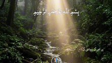 Islam s power
