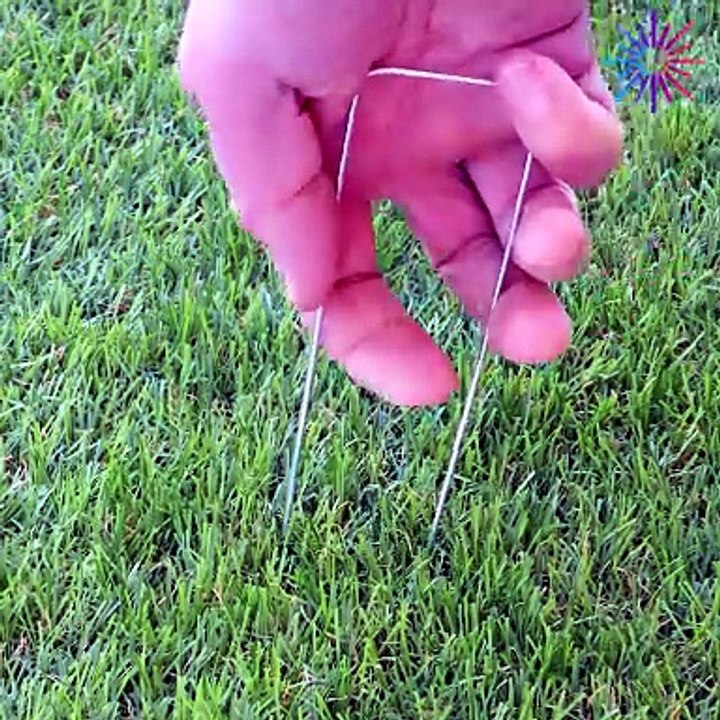 Try this grass hack for the summer!