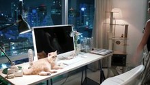 Moonshadow gl Series EP1 [Eng Sub]