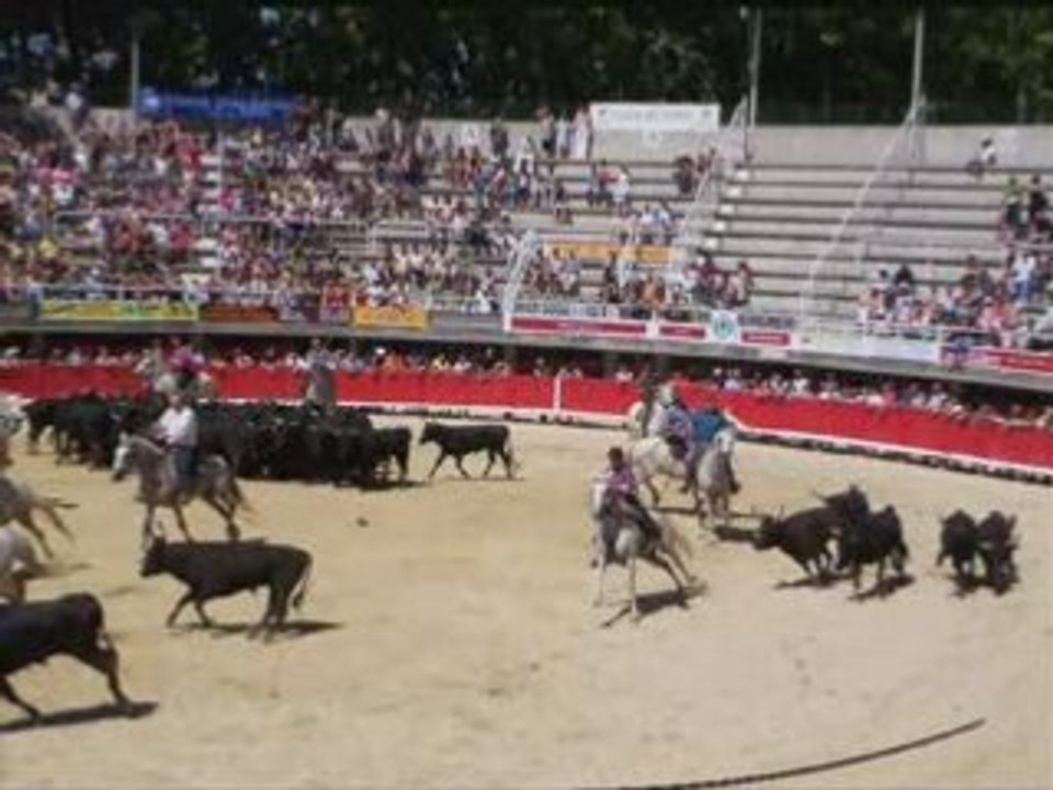 100 taureaux de lunel