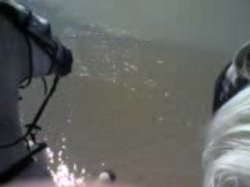 Nous a la mer !