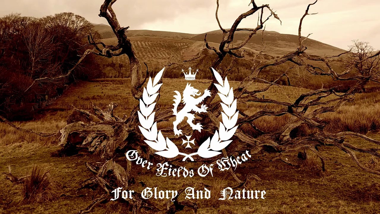 Over Fields Of Wheat - For Glory And Nature