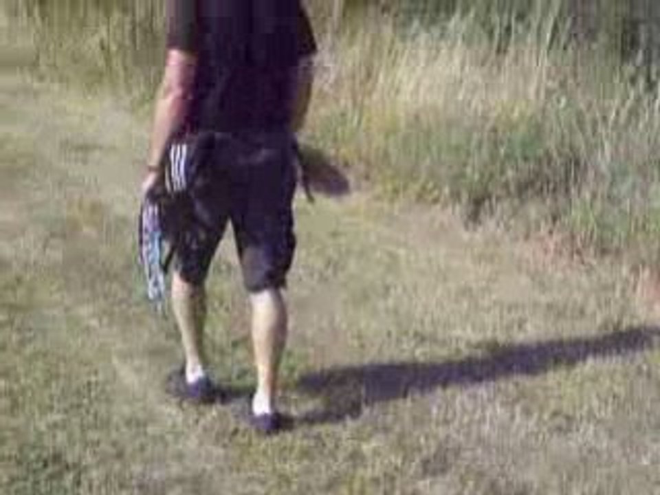 Dracken en balade