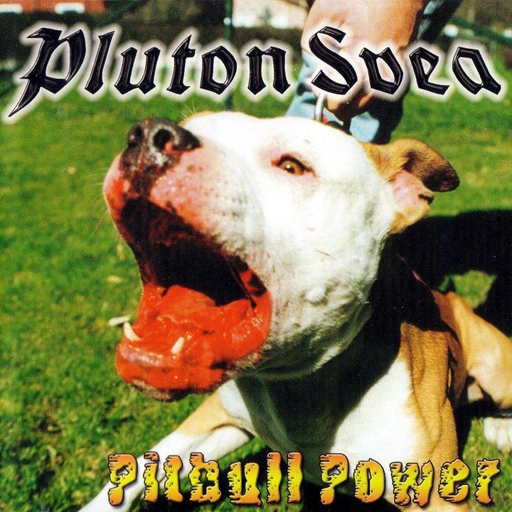 Pluton Svea - My blood is my honour