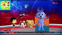 canimals kurt solo ege ile gaga çizgi film