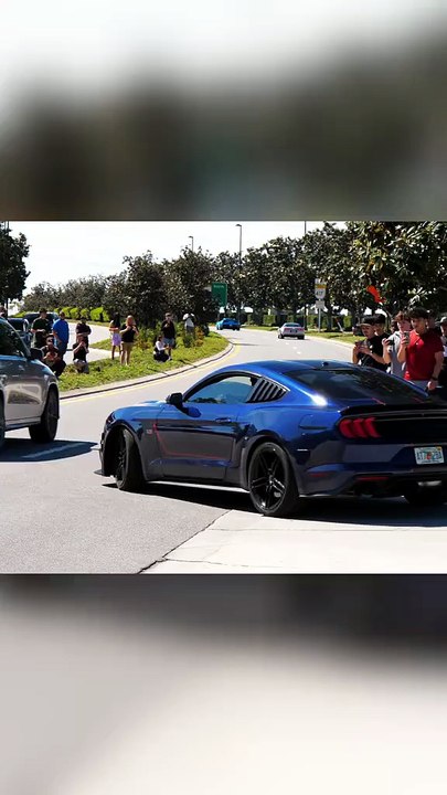 Mustang corvette